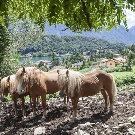 Balbianino